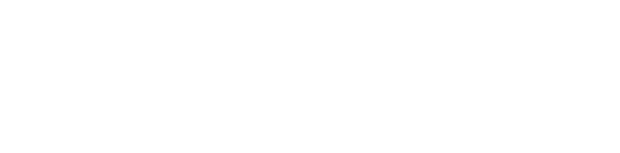 Giunti