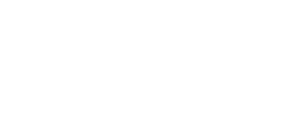 Logo Villa Reale Footer